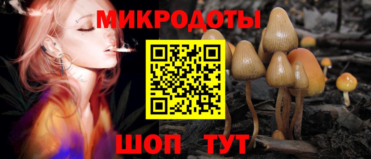 Псилоцибиновые грибы GOLDEN TEACHER  Вход с VPN  Ростов Великий  Галлюциногенные грибы Psilocybine cubensis 